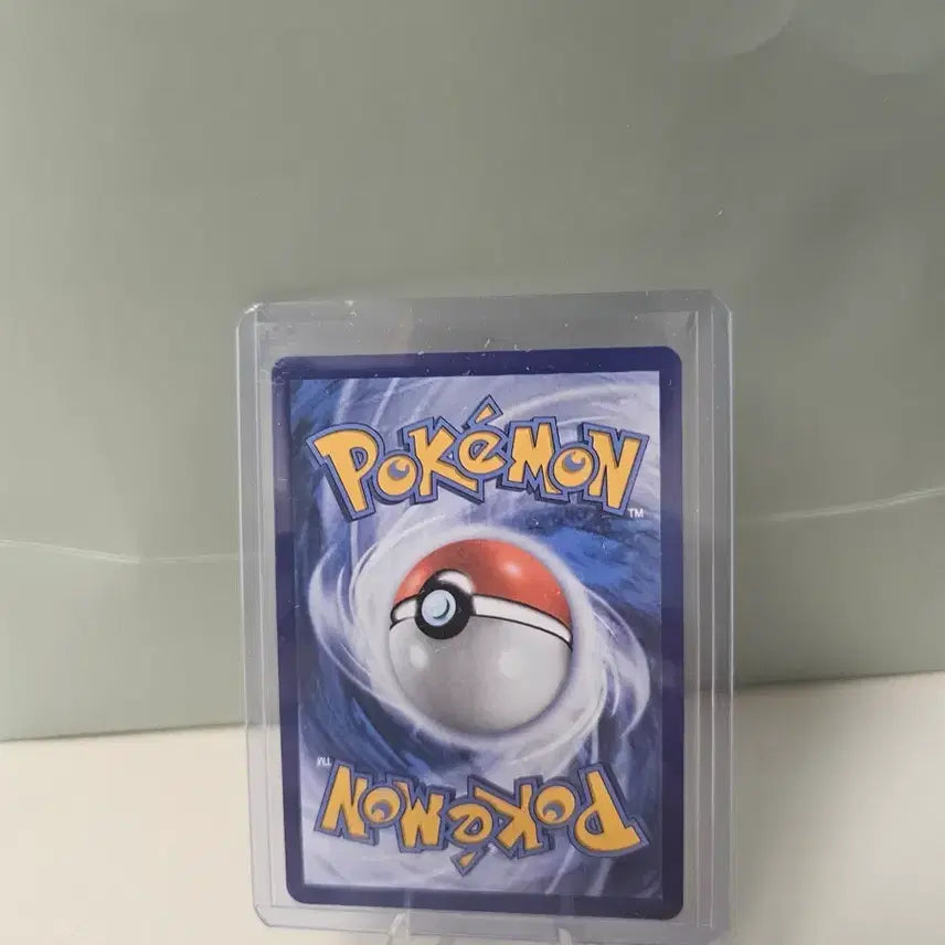 [BUNJANG] Pokemon North American Cards Bundle Set / 포켓몬 북미판 카드 일괄