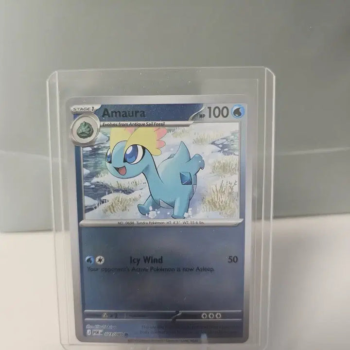 [BUNJANG] Pokemon North American Cards Bundle Set / 포켓몬 북미판 카드 일괄