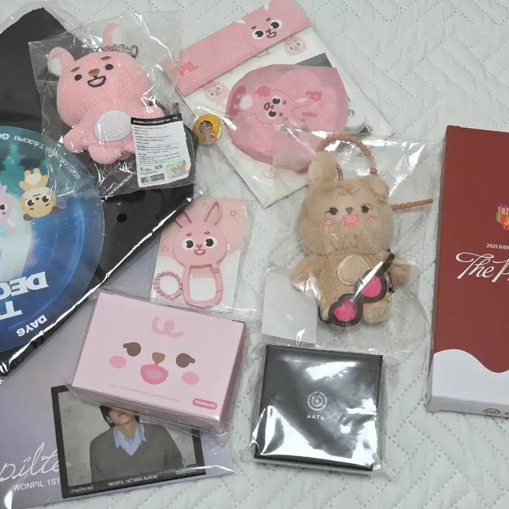[BUNJANG] Day6 Wonpil Bundle Set Concert Goods / 데이식스 원필 굿즈 일괄 판매 (원가양도)