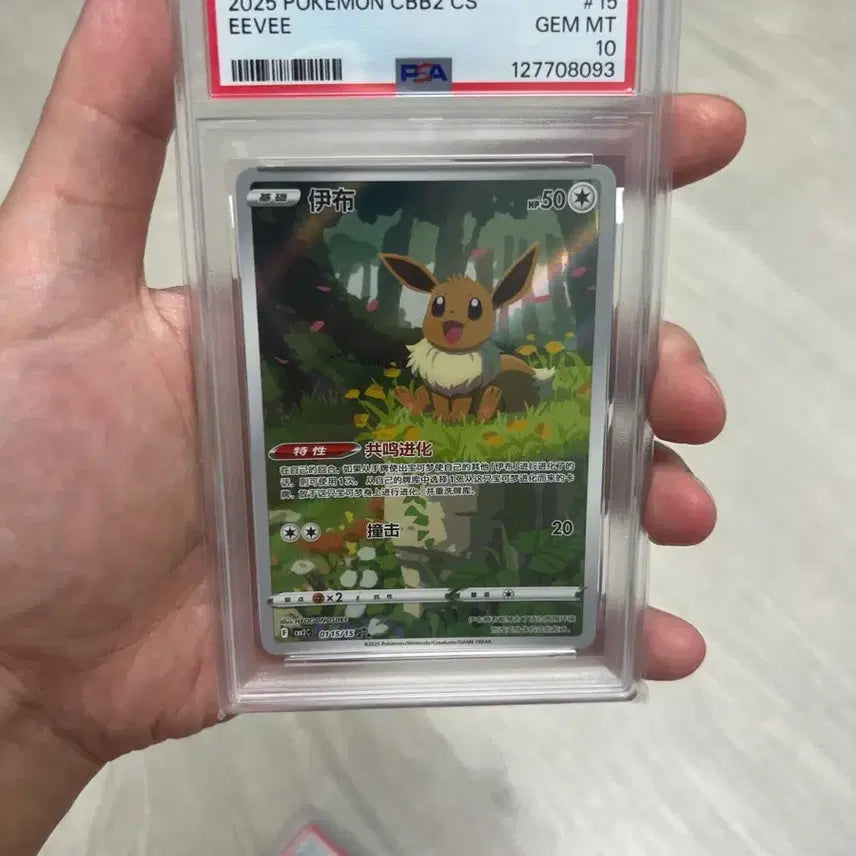 [BUNJANG] Pokemon Eevee 2025 CBB2 CS PSA 10 Limited Edition Illustration / 포켓몬 이브이 2025 CBB2 CS PSA 10 중판한정일러스트