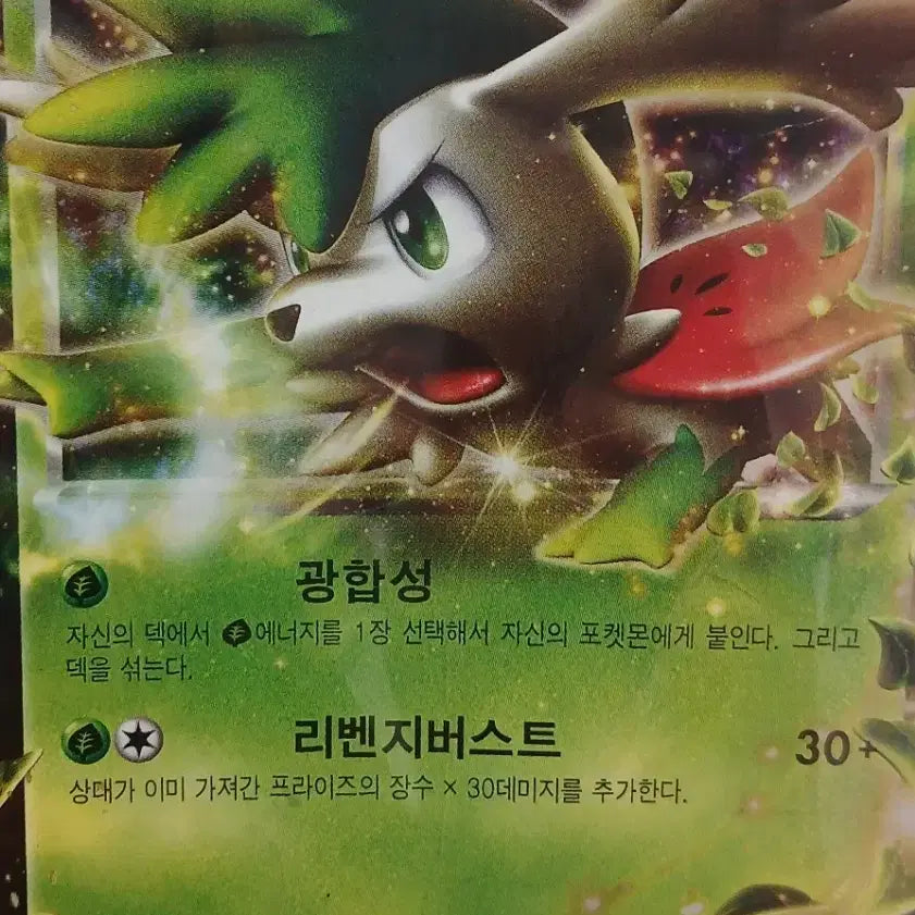 [BUNJANG] Pokémon Card Shaymin EX / 포켓몬 카드 쉐이미 EX