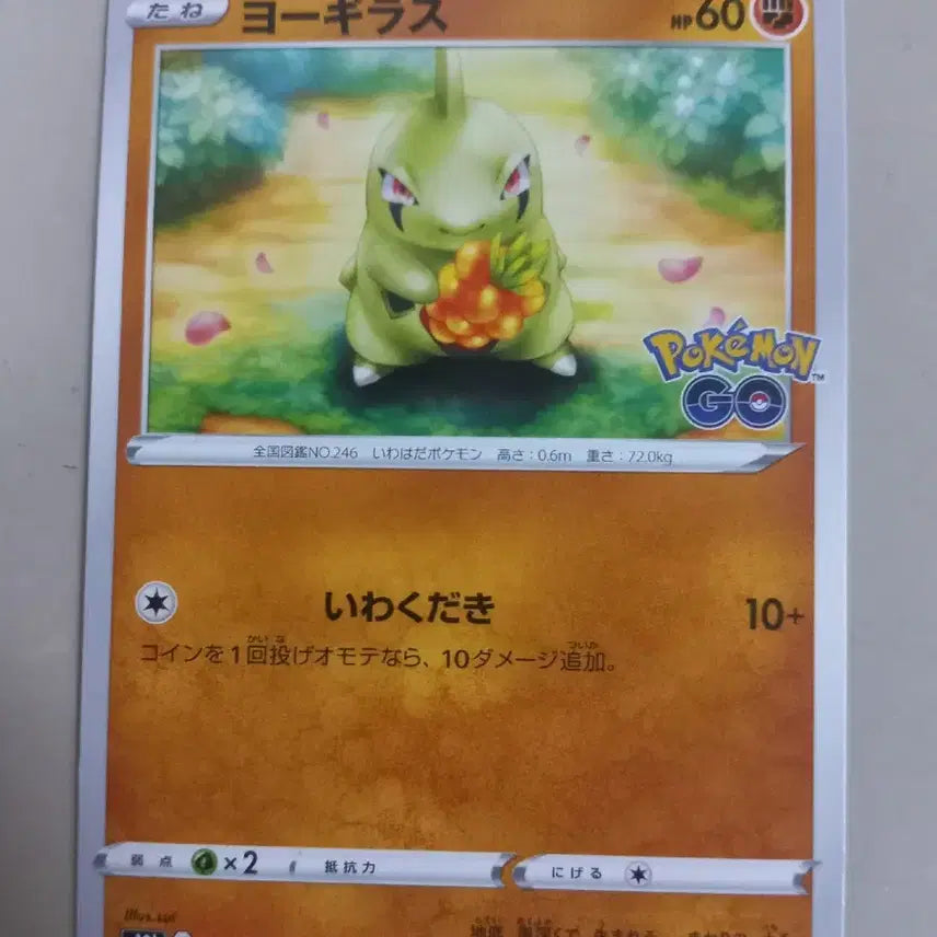 [BUNJANG] Everest Pokémon Card (Japanese) / 에버라스 포켓몬카드 (일판)