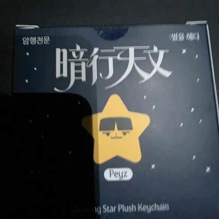 [BUNJANG] T1 Popup Amhaengcheomun Star Plush Keychain + Lucky Draw Photocard / T1 티원 팝업 암행천문 별 인형 키링+팝업 포카 PEYZ