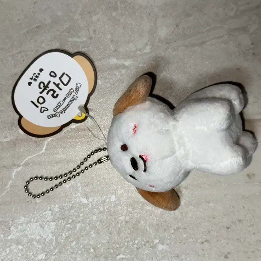 [BUNJANG] RIIZE Anton Myungryong 1st Gen Doll / 멍룡이 1기 라이즈 앤톤 인형