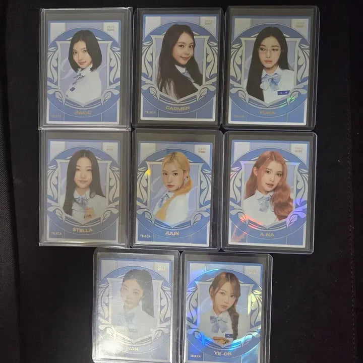 [BUNJANG] Terreca Hatuha SSP Full Set / 테레카 하투하 ssp 풀세트