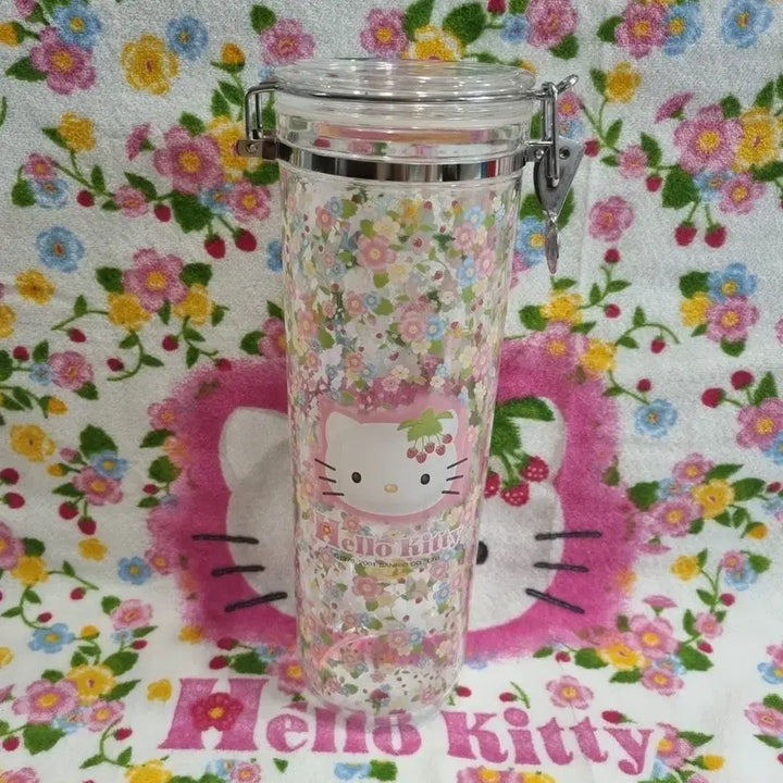 [BUNJANG] Vintage Strawberry Storage Box / 고전 키티 들딸기 보관함 수납함 케이스 빈티지
