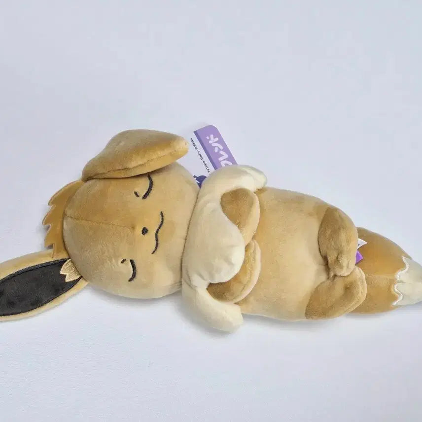 [BUNJANG] Pokemon Center Sleeping Eevee Mochi Plush Doll 28cm / 포켓몬센터 잠자는 이브이 낮잠 스야스야 모찌 누이구루미 인형