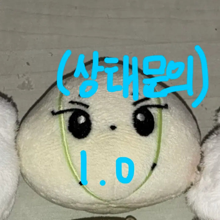 [BUNJANG] ENHYPEN Sunghoon Doll Bundle Set (Yangkkomi, Yangjjokkomi) / 엔하이픈 정원 인형 양꼬미 양쪼꼬미 일괄