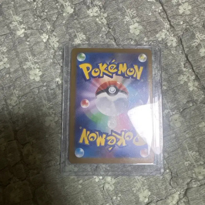 [BUNJANG] Mega Greninja SR Japanese Card / 일판 메가 개굴닌자 sr