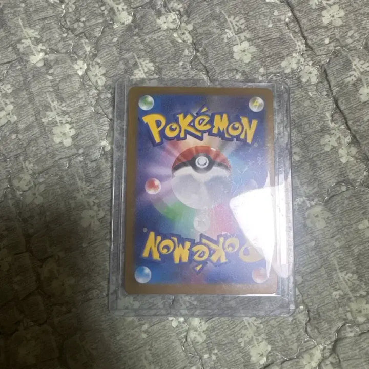 [BUNJANG] Mega Greninja SR Japanese Card / 일판 메가 개굴닌자 sr