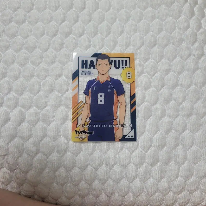 [BUNJANG] Haikyuu!! Blue Lock Photocard Set / 하이큐, 블루록 포카