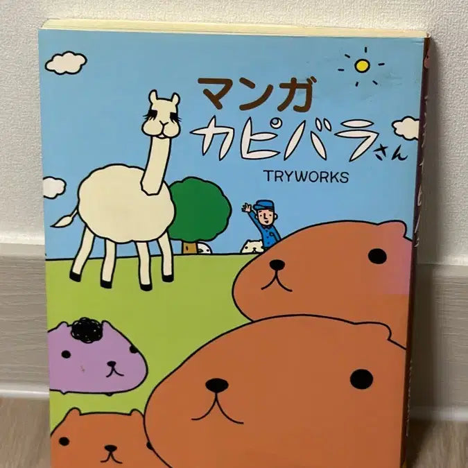 [BUNJANG] Classic Capybara Book / 오늘만할인)고전 카피바라상