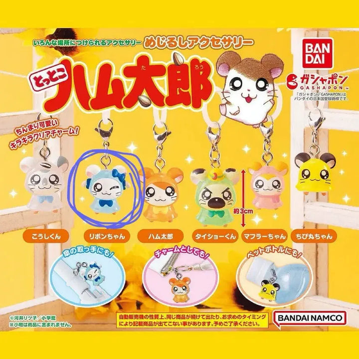 [BUNJANG] Ribbon Hamtaro Ribbon Hamtaro 1st Edition Sealed Gacha / 미개봉) 햄토리 메지루시 1탄 리본햄토리 리본이 단종 가챠