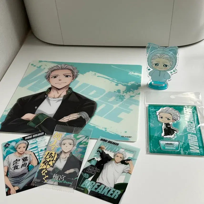[BUNJANG] Umimiya Acrylic Stand, Mousepad, Photocard Bundle Set / (1-2페이지 포함)우메미야 아크릴, 마우스패드, 포카 일괄판매