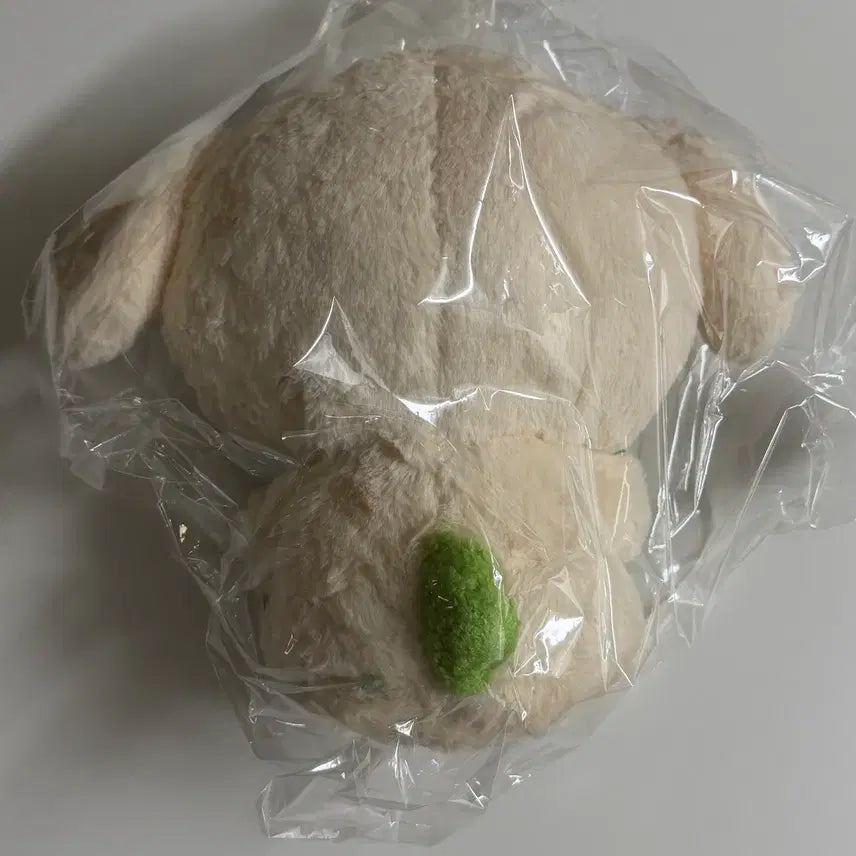 [BUNJANG] NCT WISH Wish Doll 30cm DaengTriever Sealed / 엔시티위시 위시돌 30cm 댕트리버 미개봉