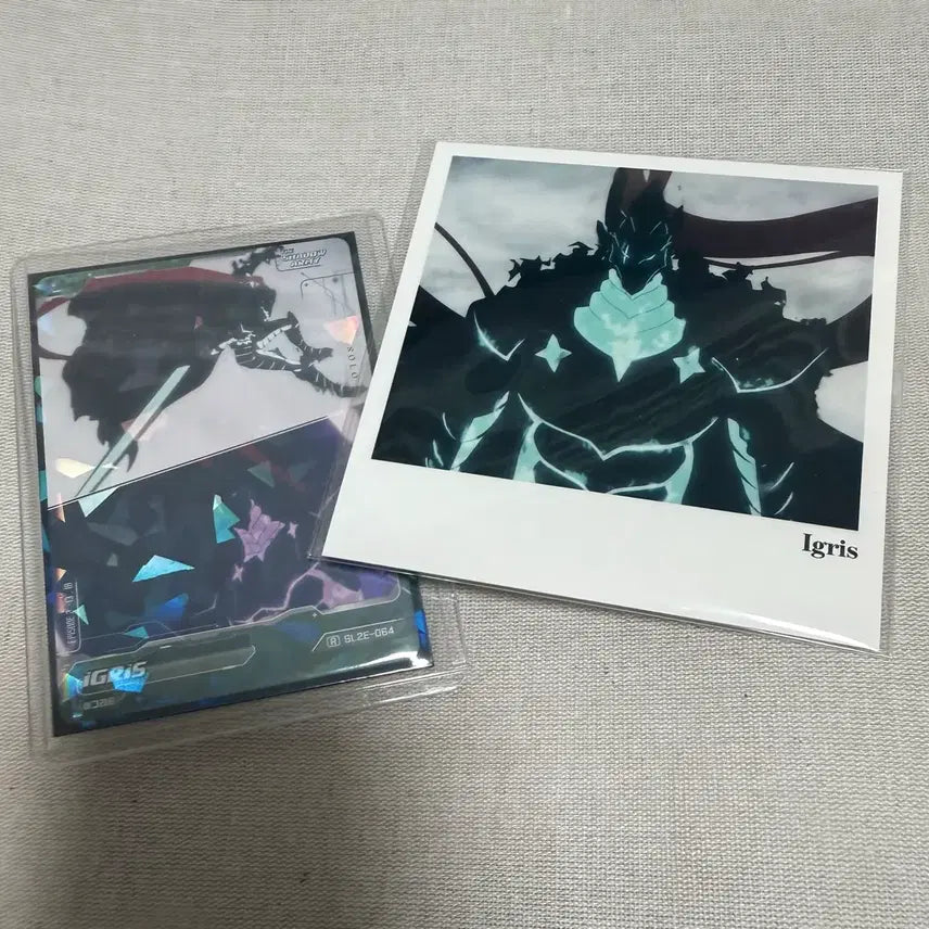 [BUNJANG] Solo Leveling Igneid Bundle Set Polaroid Postcards &amp; Photocards / 일괄) 나혼렙 이그리트 폴라로이드 엽서 포토카드 나혼자만레벨업