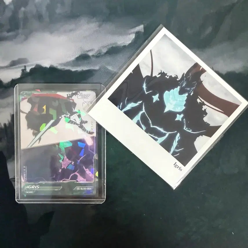 [BUNJANG] Solo Leveling Igneid Bundle Set Polaroid Postcards &amp; Photocards / 일괄) 나혼렙 이그리트 폴라로이드 엽서 포토카드 나혼자만레벨업