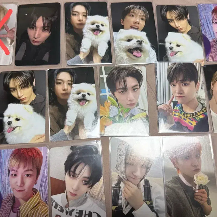 [BUNJANG] BOYNEXTDOOR Photocard / 보이넥스트도어 보넥도 포토카드 포카 판매