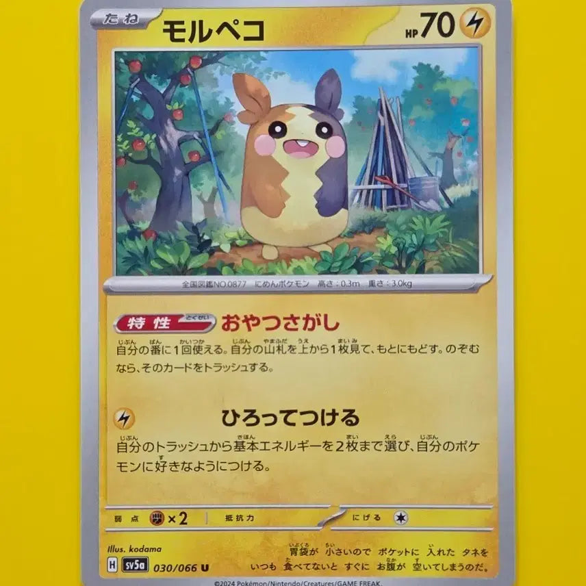 [BUNJANG] Pokemon Card SV5a Morpeko Japanese Edition / 포켓몬카드 sv5a 모르페코 일판