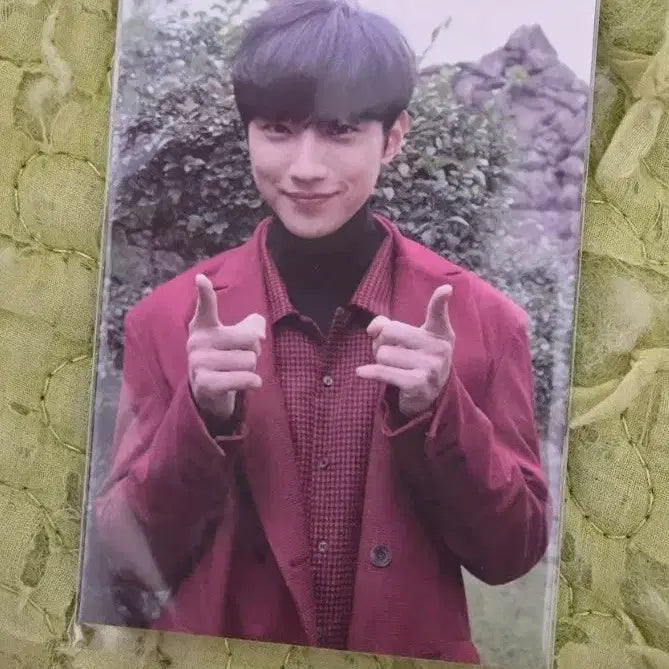 [BUNJANG] B1A4 Jinyoung Photocard / b1a4 진영 포카