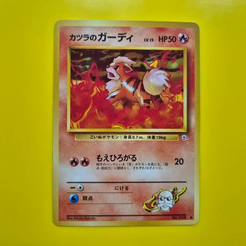 [BUNJANG] Pokemon Card Charizard Golem Jungle 1st Edition / 포켓몬카드 1996 s급 화염불꽃속 가디 짐 초판 팜