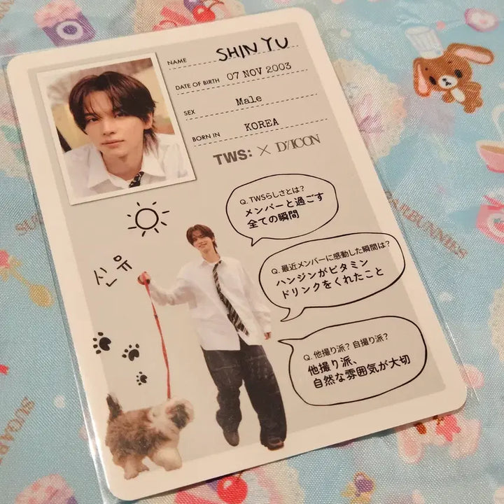 [BUNJANG] TWS Dicon Popup Tokyo Can Badge Profile Shinyu / 투어스 디아이콘 팝업 도쿄 캔뱃지 프로필 신유