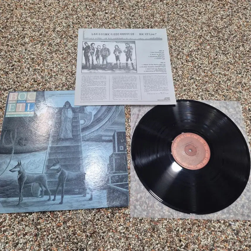 [BUNJANG] Blue Oyster Cult LP (Korean License) / LP  BOC Blue Oyster Cult 국내 라이센스