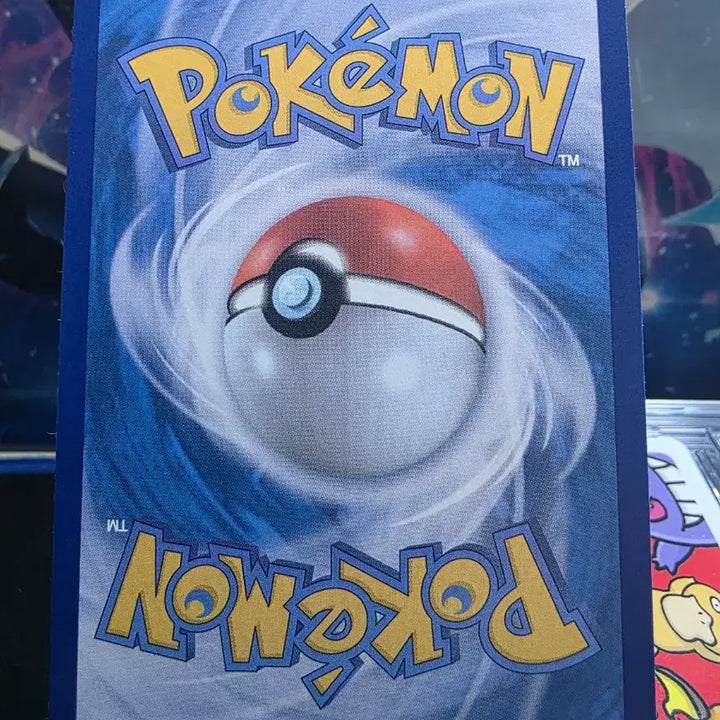 [BUNJANG] Pokemon Card Monster Ball Nut / 포켓몬카드 몬볼 너트령