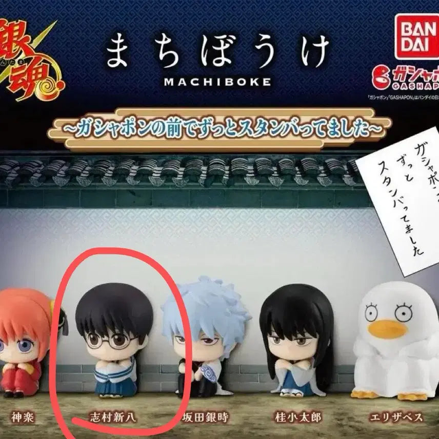 [BUNJANG] Gintama Machiboke Shinpachi / 은혼 마치보케 신파치
