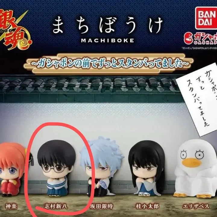 [BUNJANG] Gintama Machiboke Shinpachi / 은혼 마치보케 신파치