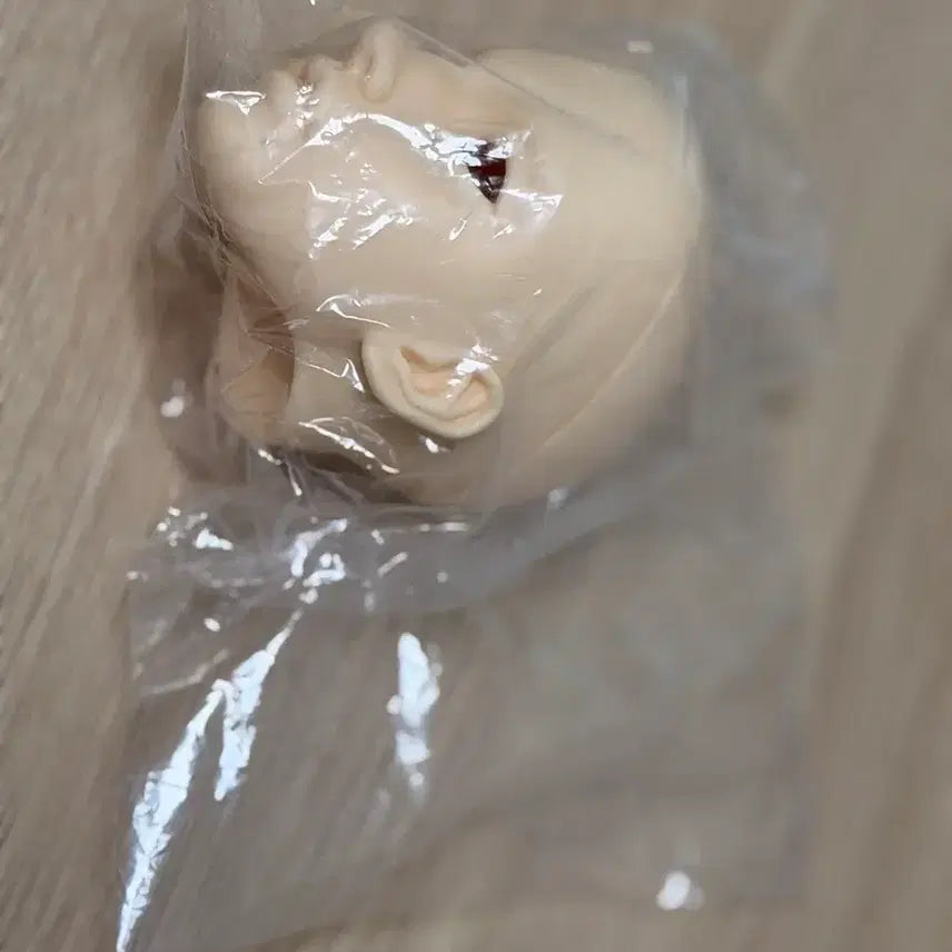 [BUNJANG] Switch Seollok Head (Normal Skin) - Sealed / 구체관절인형 스위치 설록 헤드 (비닐미개봉)