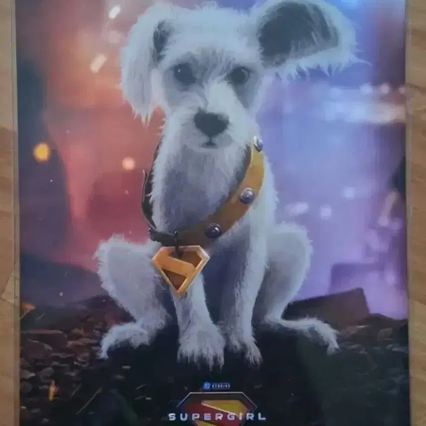 [BUNJANG] Supergirl Art Card / 슈퍼걸 아트카드