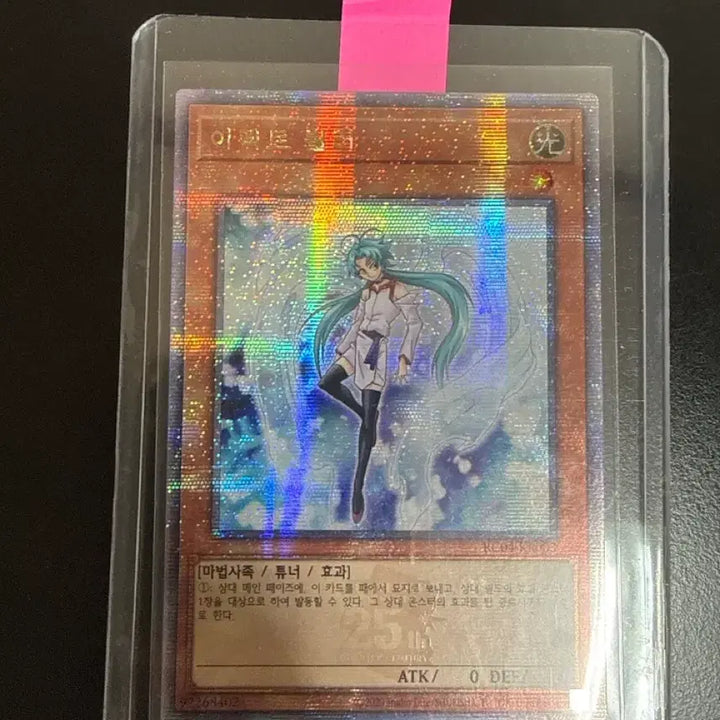 [BUNJANG] Yu-Gi-Oh! Effect Veiler / 유희왕 이펙트 뵐러