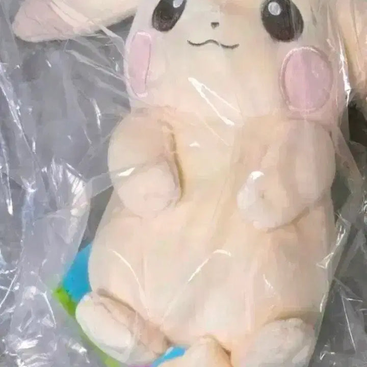 [BUNJANG] Pokemon Pikachu Pocofia Palechu Plush Doll / 일포센 포켓몬 피카츄 포코피아 창백카츄 인형