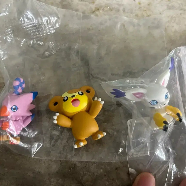 [BUNJANG] Pokemon Gacha Bundle Set / 포켓몬 가챠 일괄