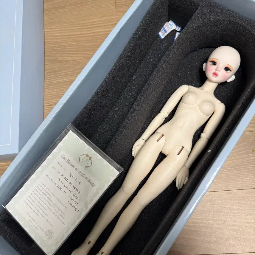 [BUNJANG] LinaLulu MSD Ball-Jointed Doll - White Skin (Tike Head) / 구관 구체관절인형 리나슈슈 미백 티케 msd