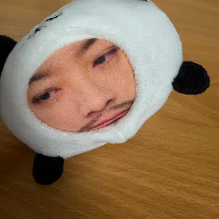 [BUNJANG] Chimchakman Chimbao Voice Doll / 침착맨 침바오 보이스인형 음성인형