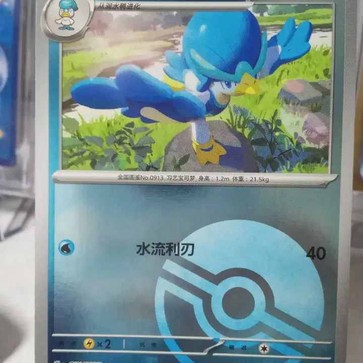 [BUNJANG] Pokemon Card Accuwax Chinese Version Monster Ball Holo / 포켓몬 카드 아꾸왁 중국판 몬스터볼 홀로