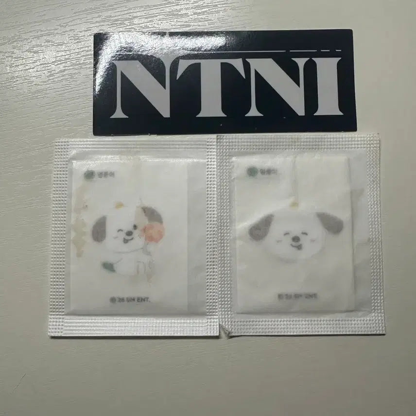 [BUNJANG] RIIZE Anton Tteukbokki Sticker + Archive Pop-up Logo Sticker / cu 라이즈 앤톤 띠부 멍룡이 2개 + 아카이브 팝업 로고 스티커
