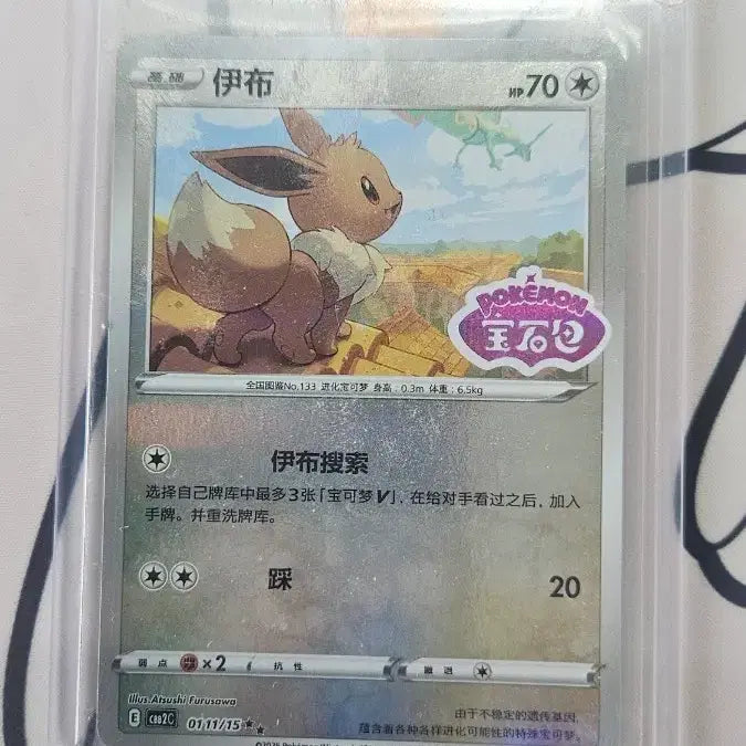 [BUNJANG] Pokemon Card Eevee Promo Reissue / 포켓몬카드 이브이 프로모 중판