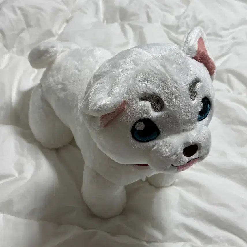 [BUNJANG] Banpresto Gintama Sadaharu Plush Doll / 은혼 사다하루 인형 누이 반프레스토