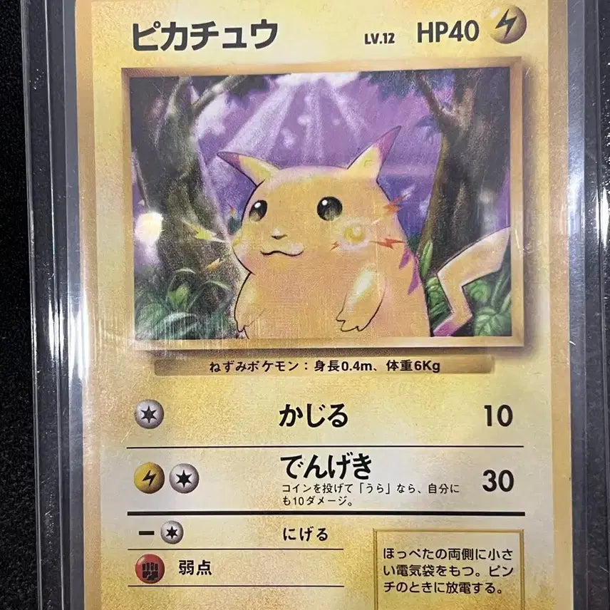 [BUNJANG] Pokemon Card Pikachu 1996 1st Edition Japanese / 포켓몬카드 피카츄 일판 초판 1996
