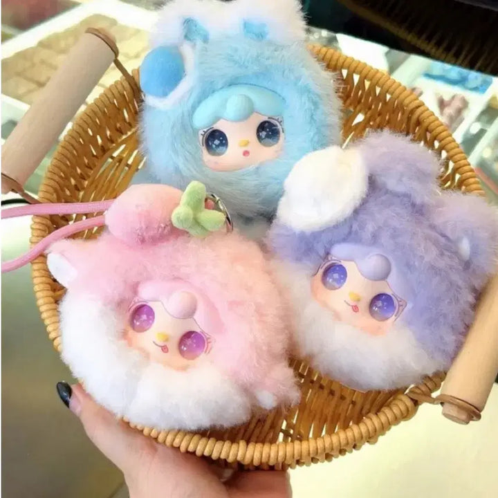 [BUNJANG] Yuki Mirror Brush Full Box Set (Includes 6 Individual Boxes) / 유키 거울 빗 풀박스 (낱박 6개)