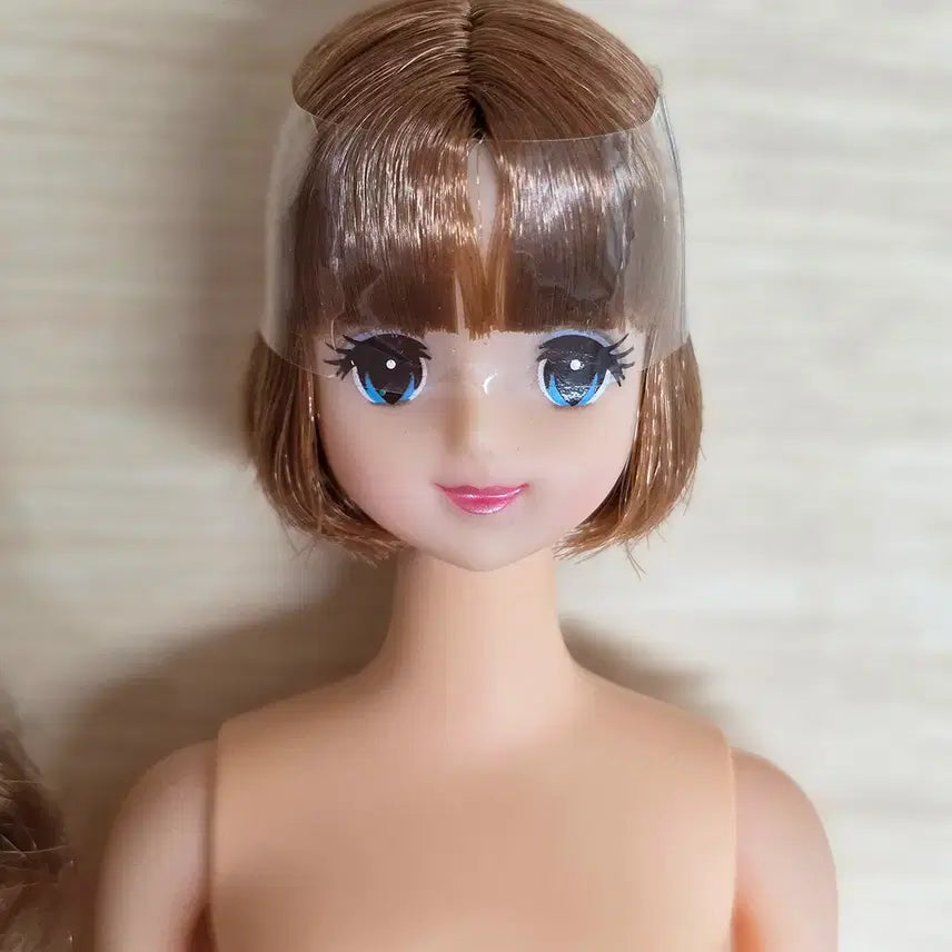 [BUNJANG] Licca Castle Jenny Friend Abel Dolls Set / licca castle 리카캐슬 제니프렌드 아벨 2체 일괄