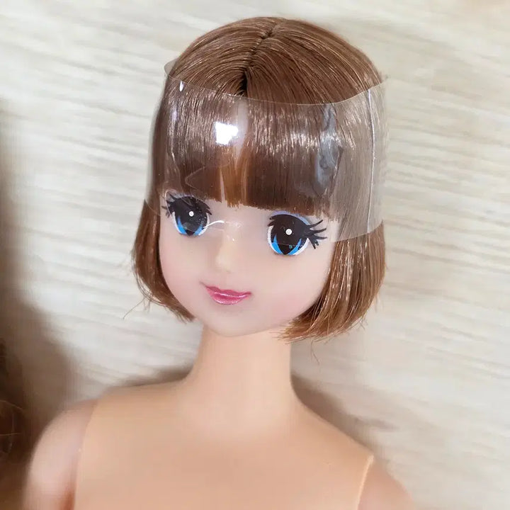 [BUNJANG] Licca Castle Jenny Friend Abel Dolls Set / licca castle 리카캐슬 제니프렌드 아벨 2체 일괄
