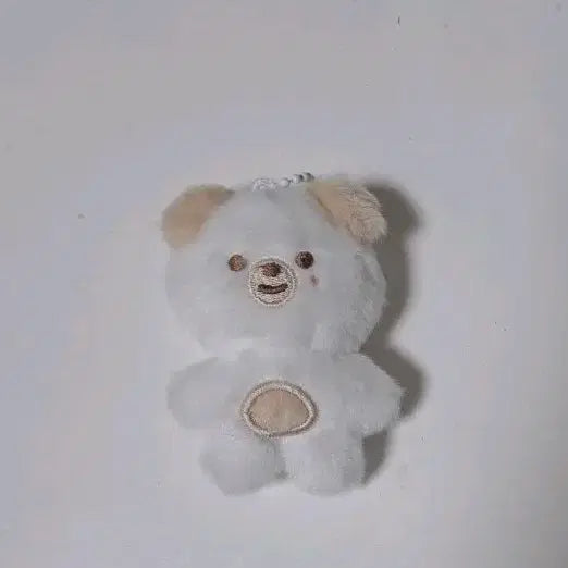 [BUNJANG] Day6 Dowoon Ppumul Bundle Set / 데이식스 쁘쁘멀 돈 (도운)