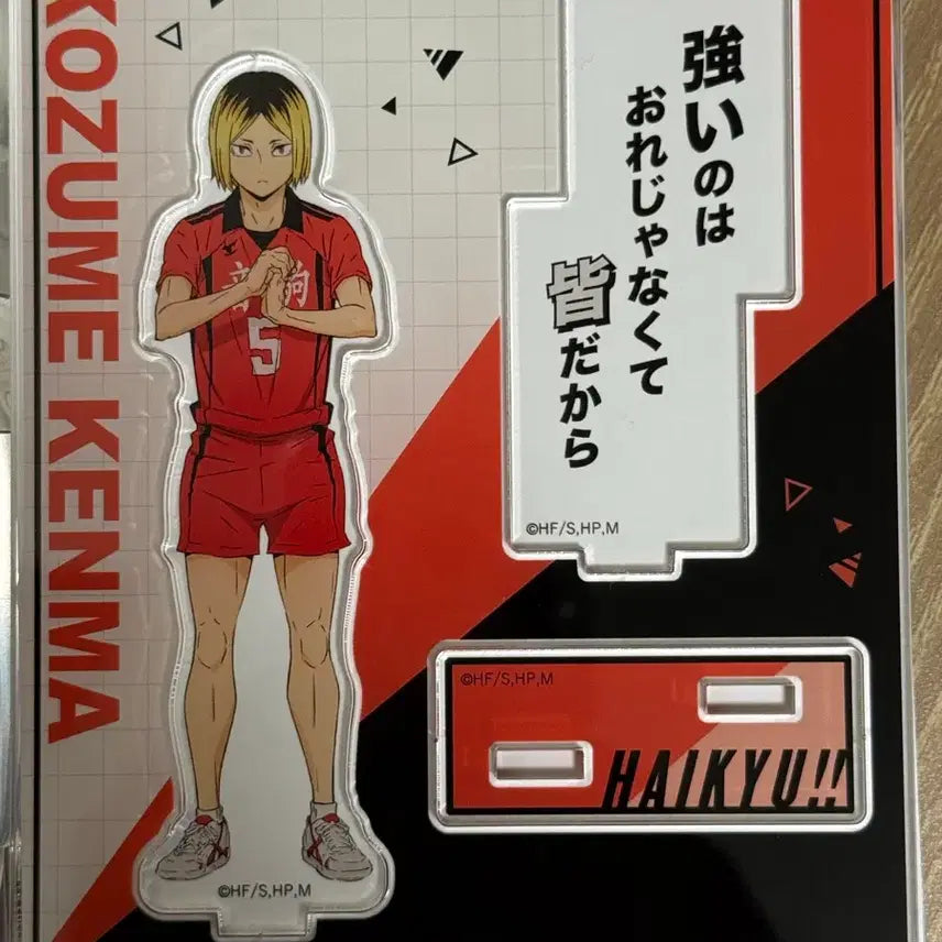 [BUNJANG] Haikyuu!! Kenma Kozume Acrylic Standee / 하이큐 켄마 아크릴스탠드