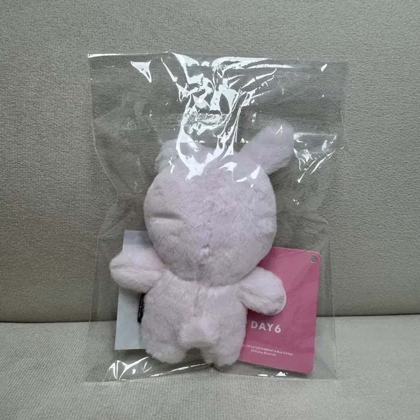 [BUNJANG] Day6 Young K 10cm Plush Doll / (원가양도) 데이식스 쁘띠멀즈 필 10cm 인형