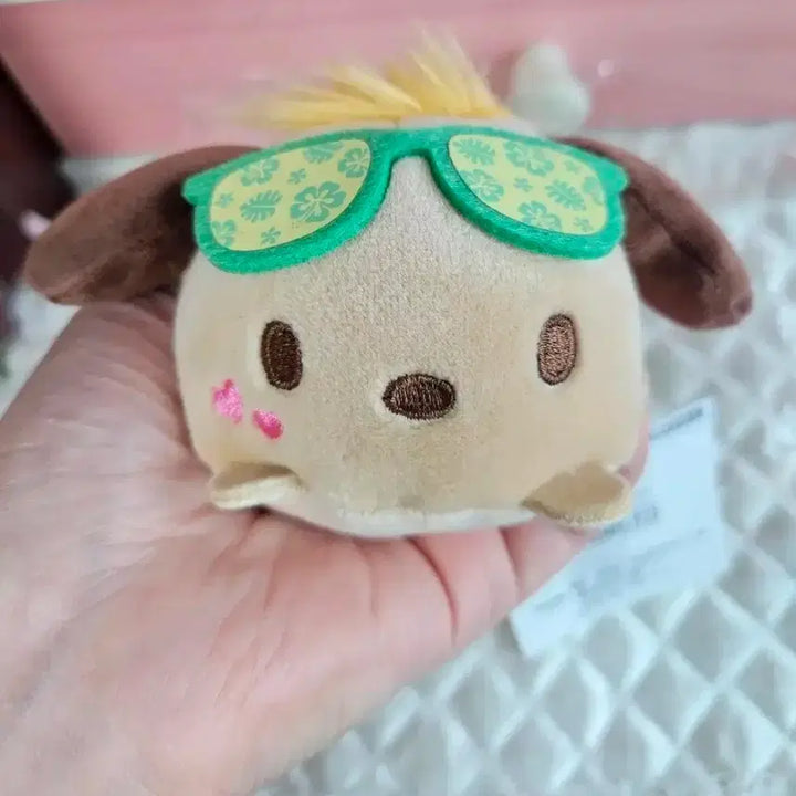 [BUNJANG] Sanrio Pochacco Face Mochi Plush / (일본정품) 포차코 얼굴 모찌 인형