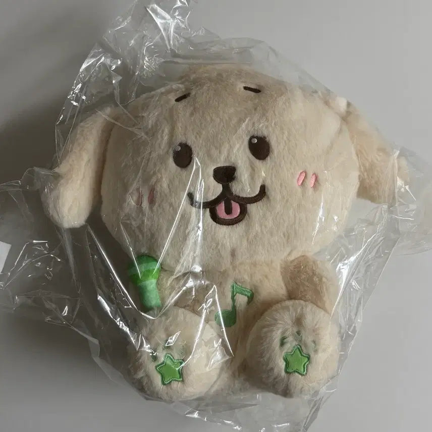 [BUNJANG] NCT WISH Wish Doll 30cm Daeng Treeber Photocard Holder / 엔시티위시 위시돌 30cm 댕트리버 미개봉